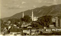 1193.JPG