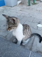 IMG_20240903_175432.jpg