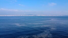 6797657d59bc0282__w1200xh675.jpg
