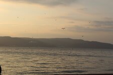 IMG_3218-min.JPG