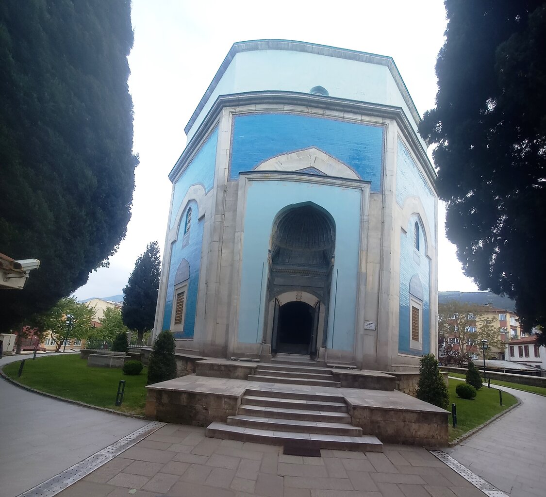 20250428_172159.jpg