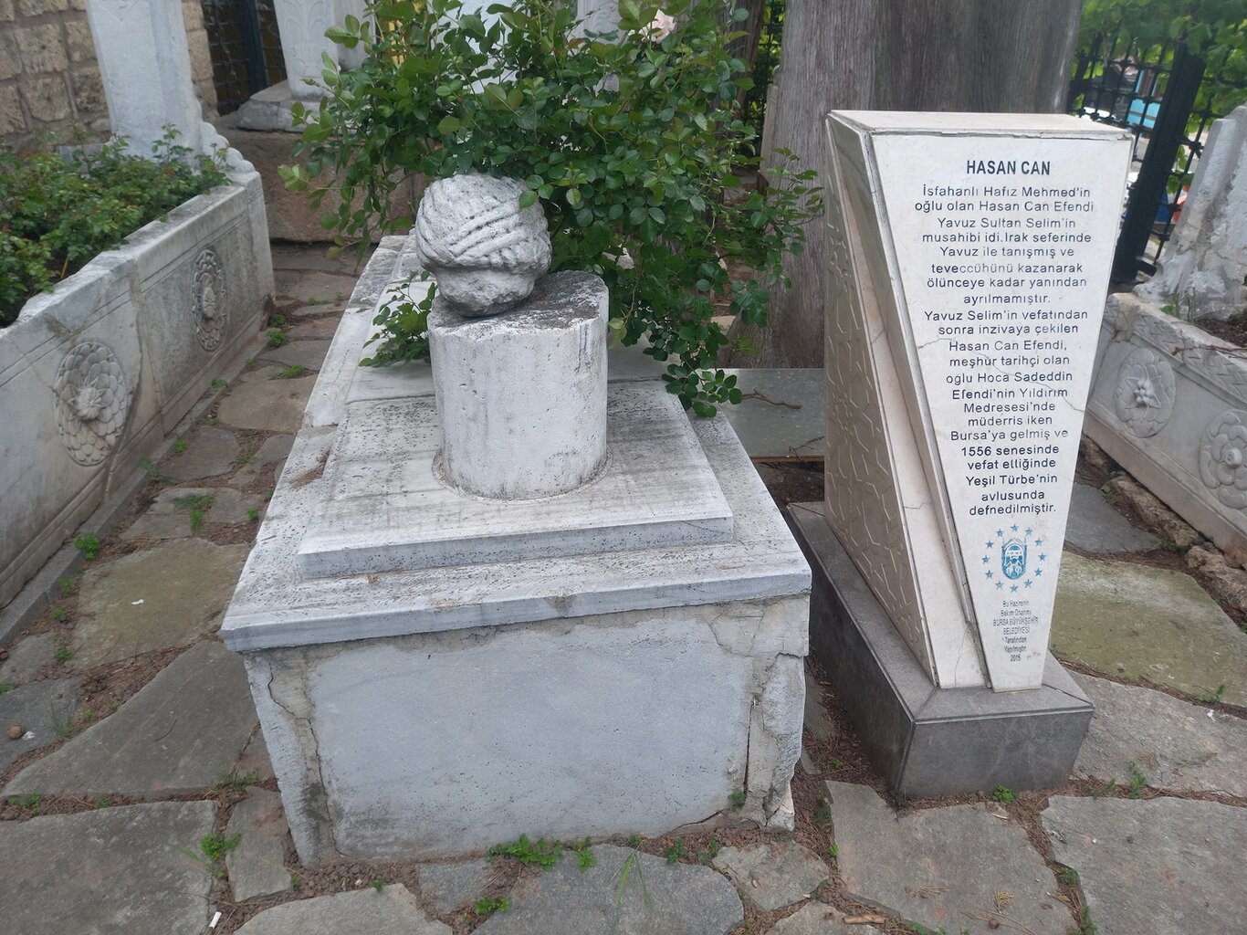 20250428_172401.jpg