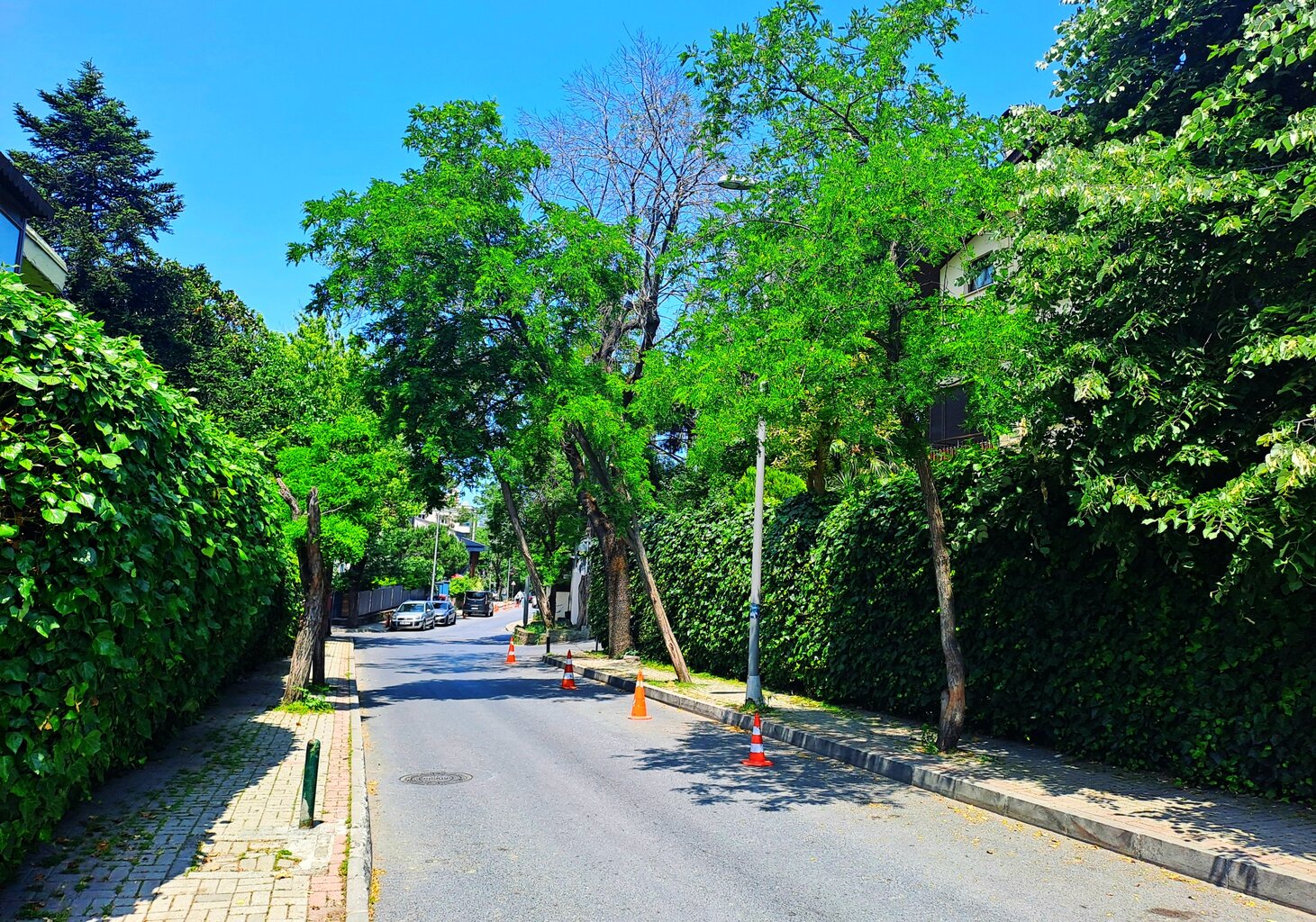 20250606_131750.jpg