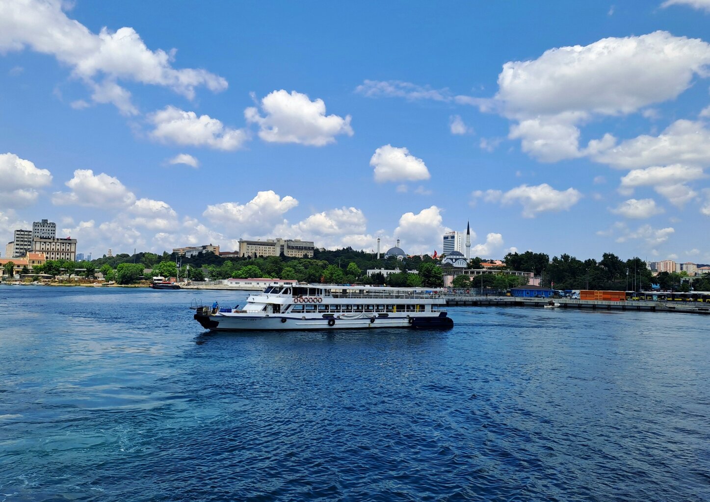 20250614_125438.jpg