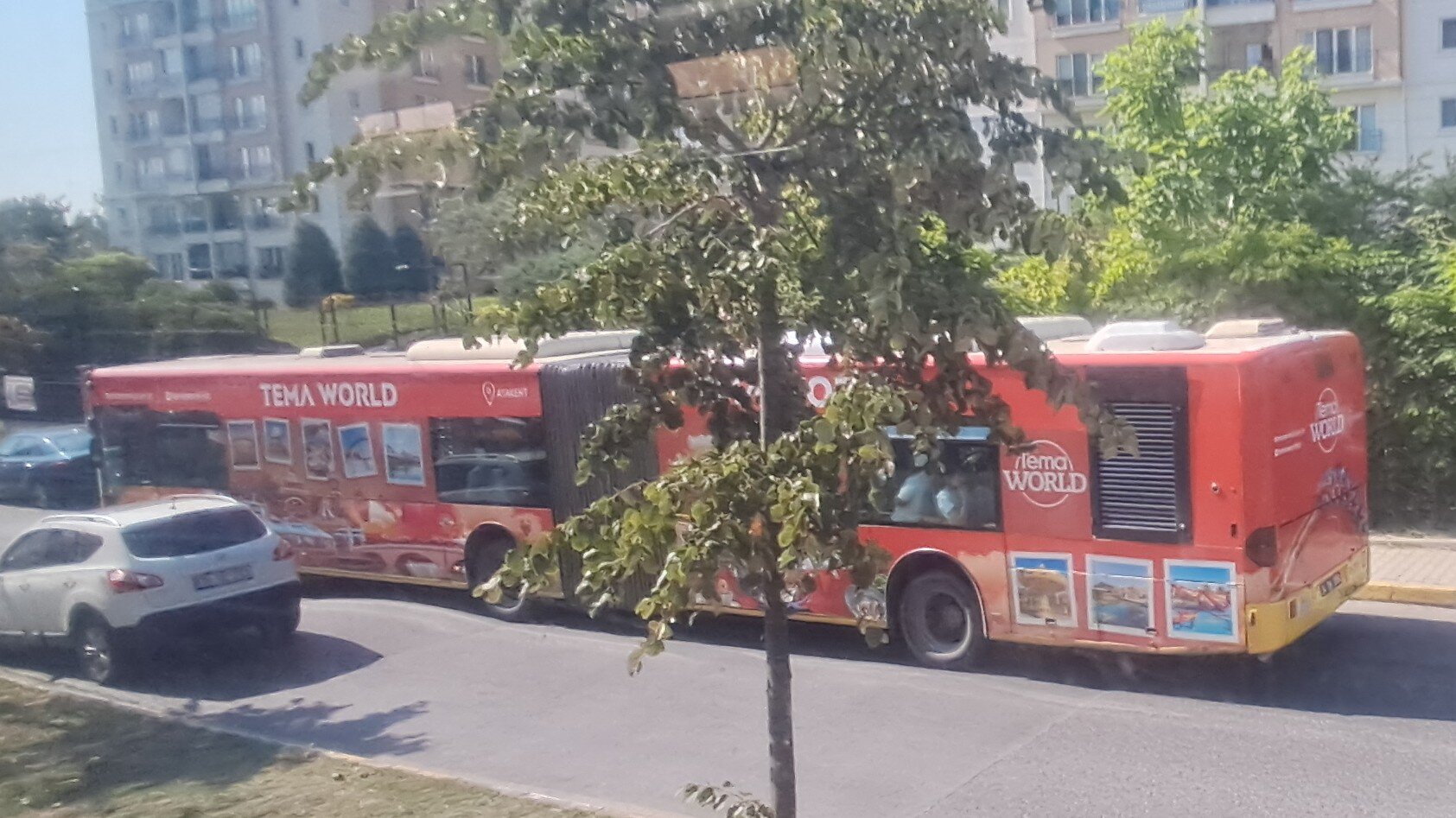 1000024110.jpg