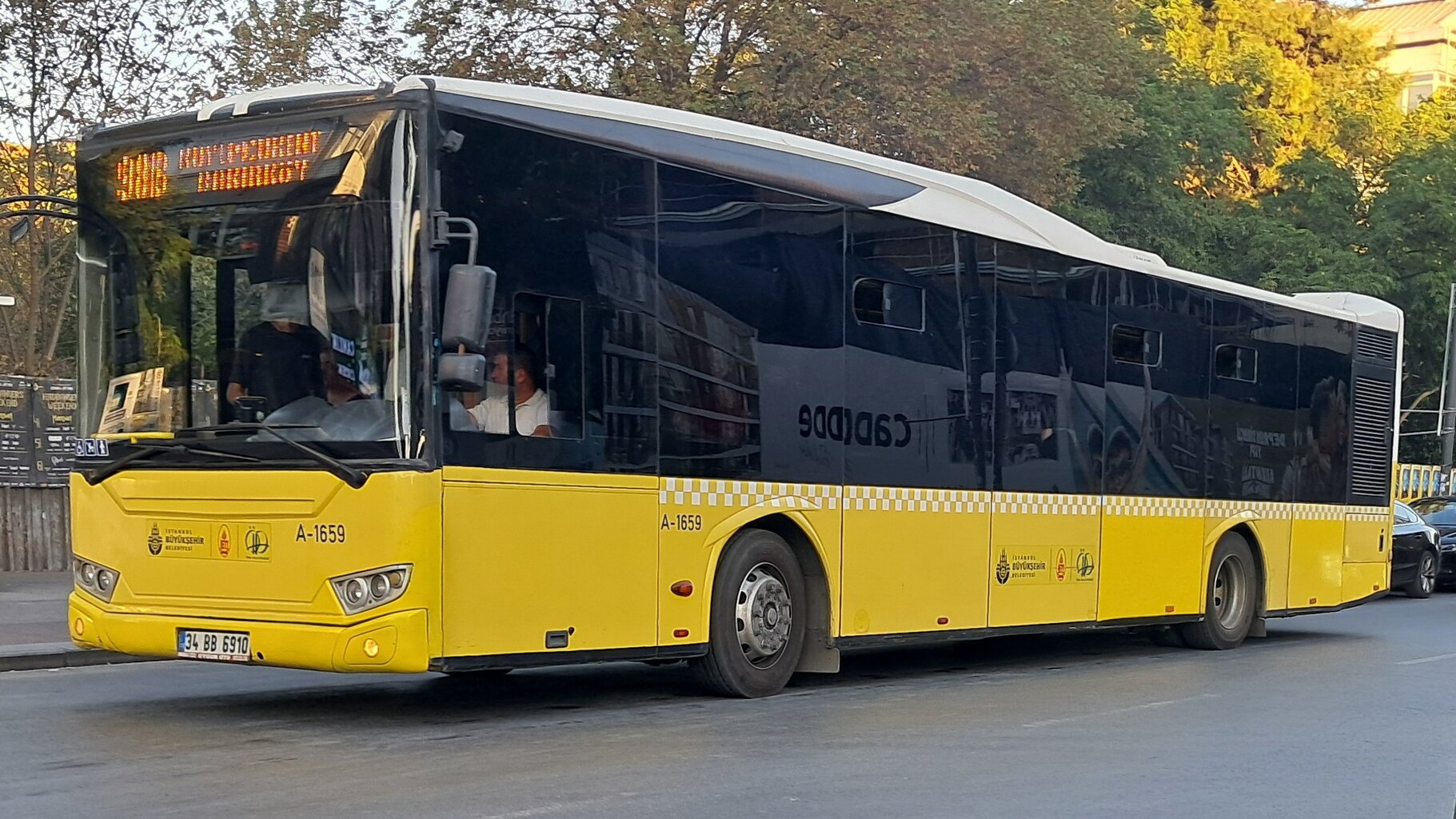 1000025424.jpg