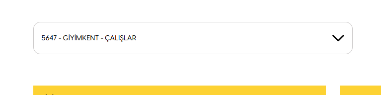 Ekran görüntüsü 2025-07-17 220817.png