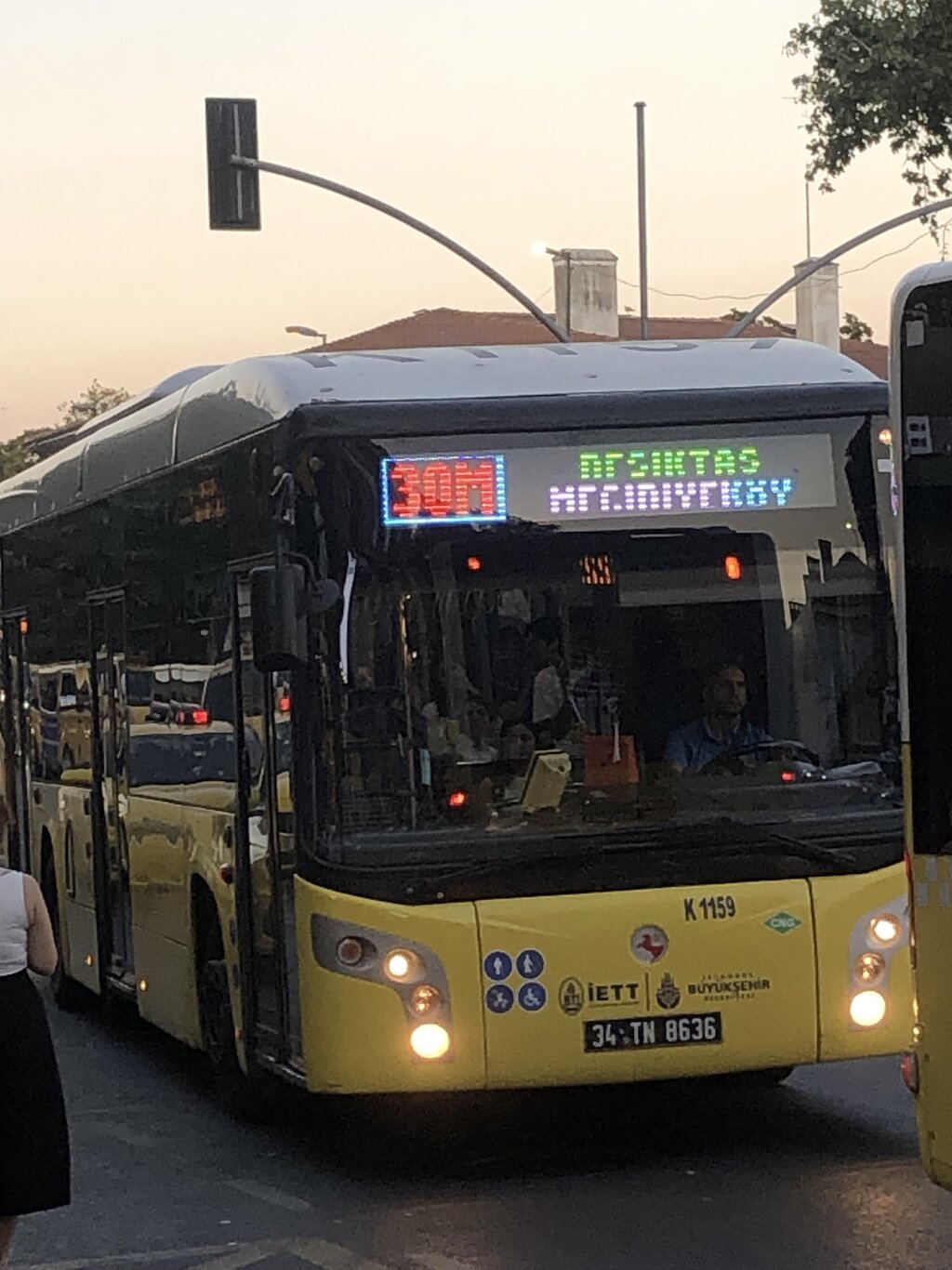 IMG_6620.jpeg