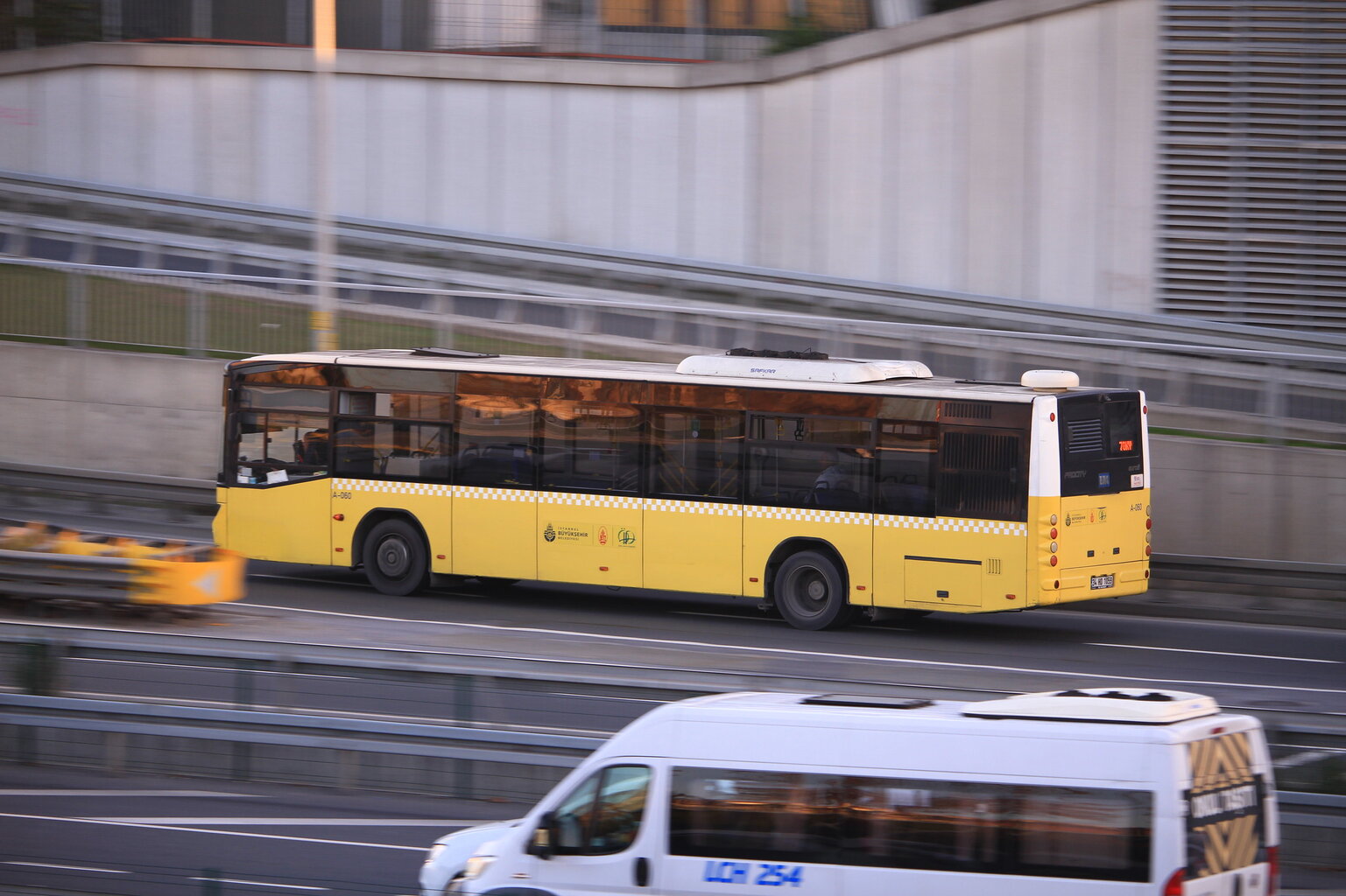 54230989974_9865672a48_k.jpg