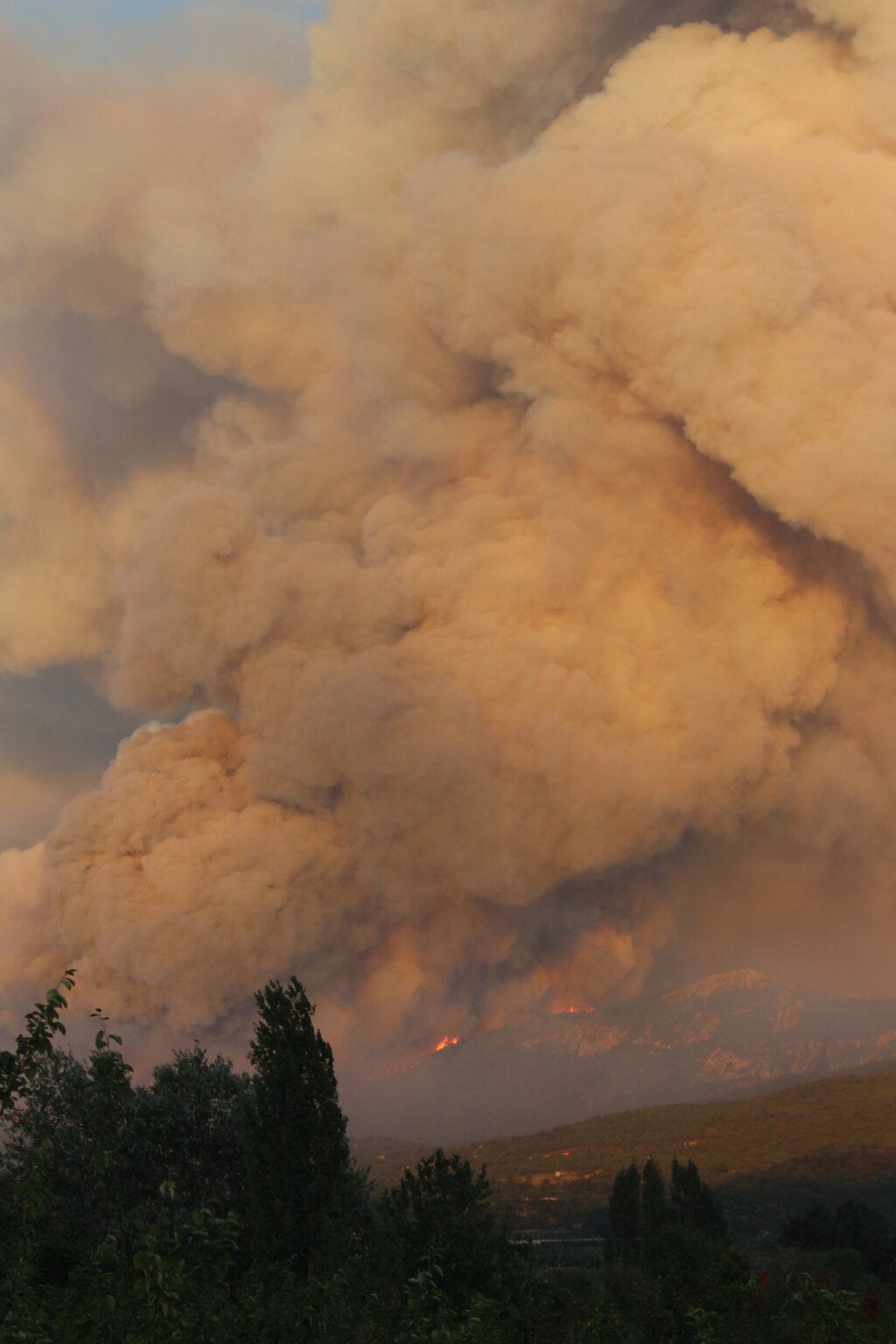 IMG_1694_copy_2592x3888.jpg