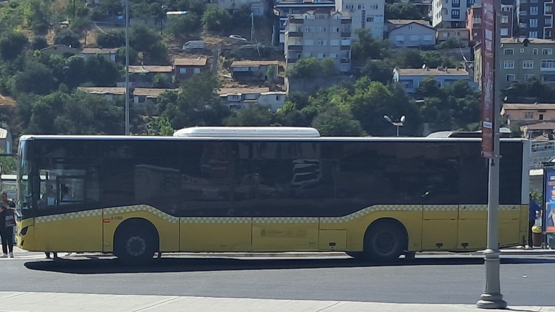 1000027474.jpg
