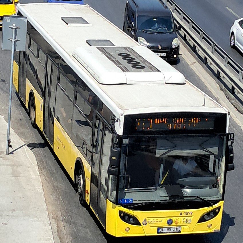 1000027639.jpg