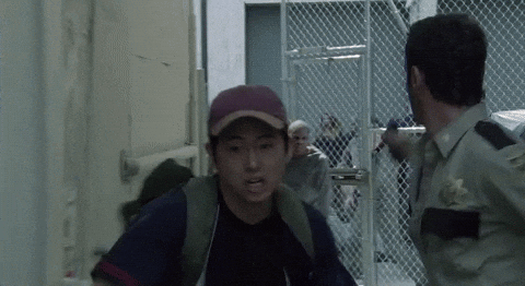 giphy (2).gif