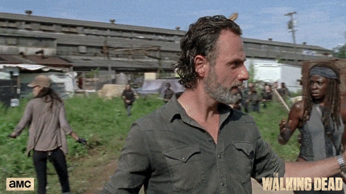 giphy (3).gif