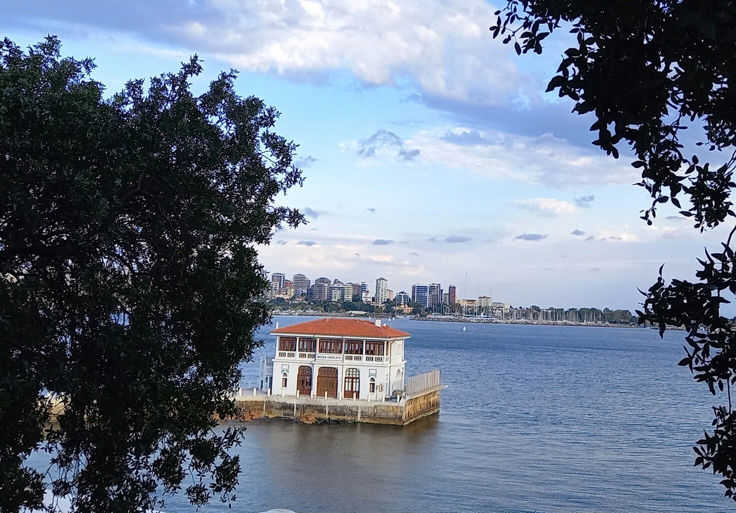 IMG_20220130_224837_204.jpg