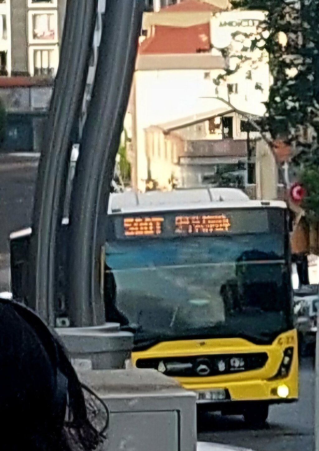 20250731_220645.jpg