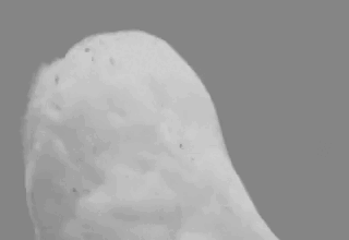 GueVFuMXEAAp7Zj.gif