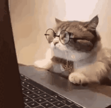 GuQHJIvWMAAEbVI.gif