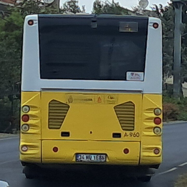 1000028586.jpg