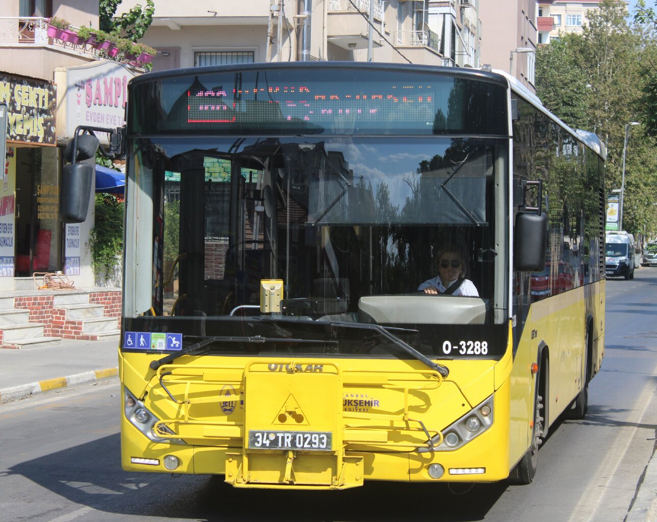 1000026487.jpg