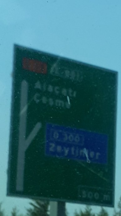 20250806_152851.jpg