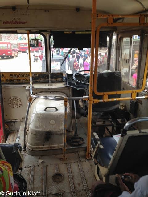 IMG_6785.jpeg