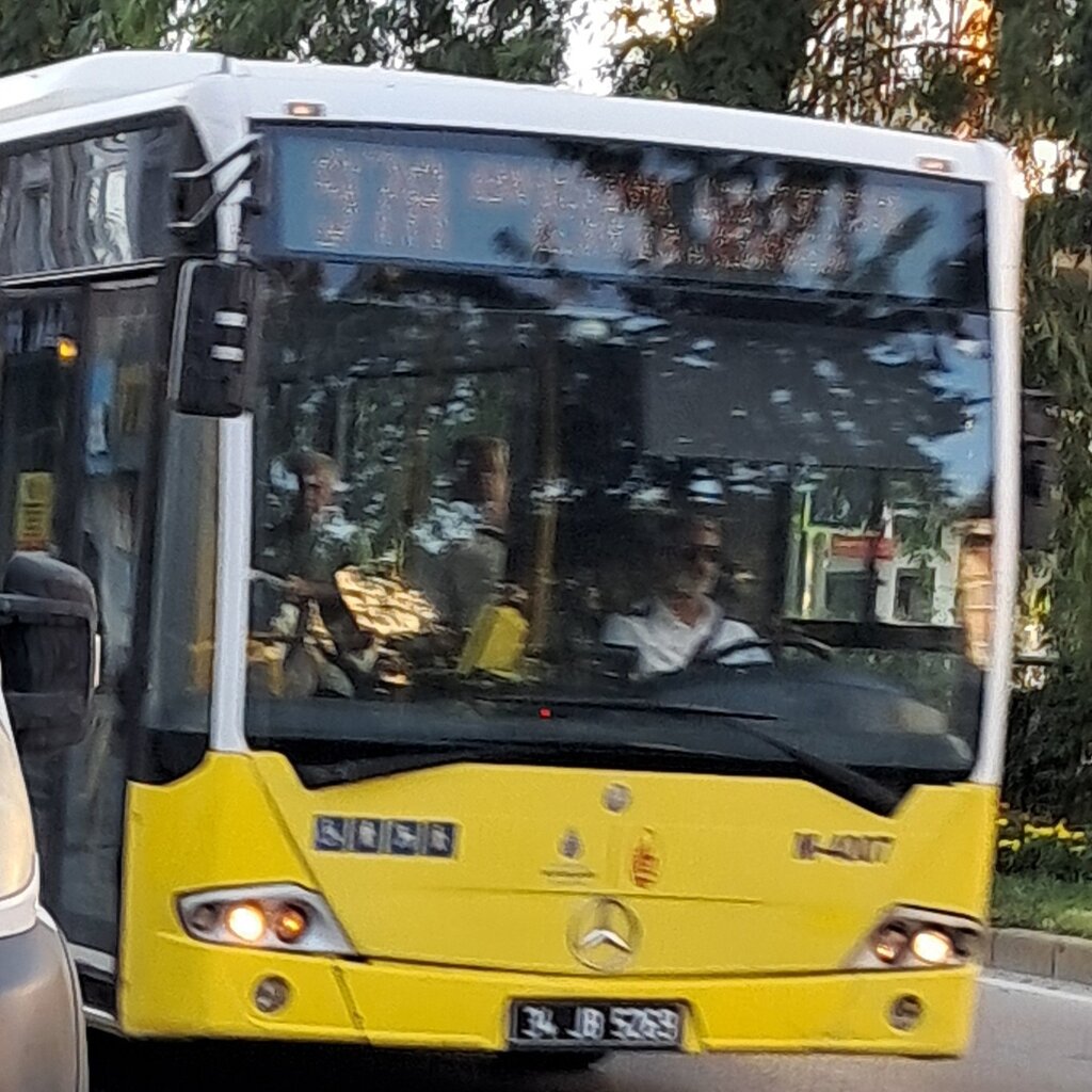 1000029354.jpg