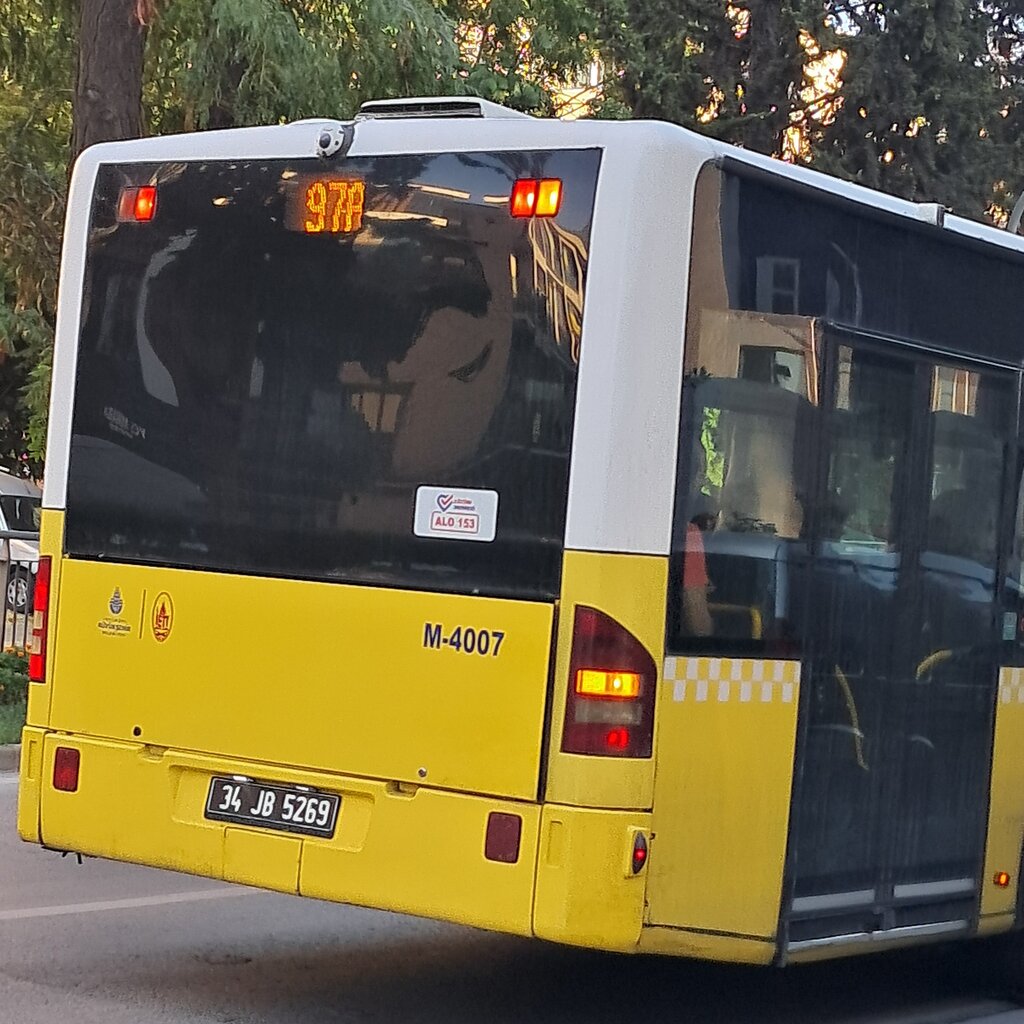 1000029355.jpg