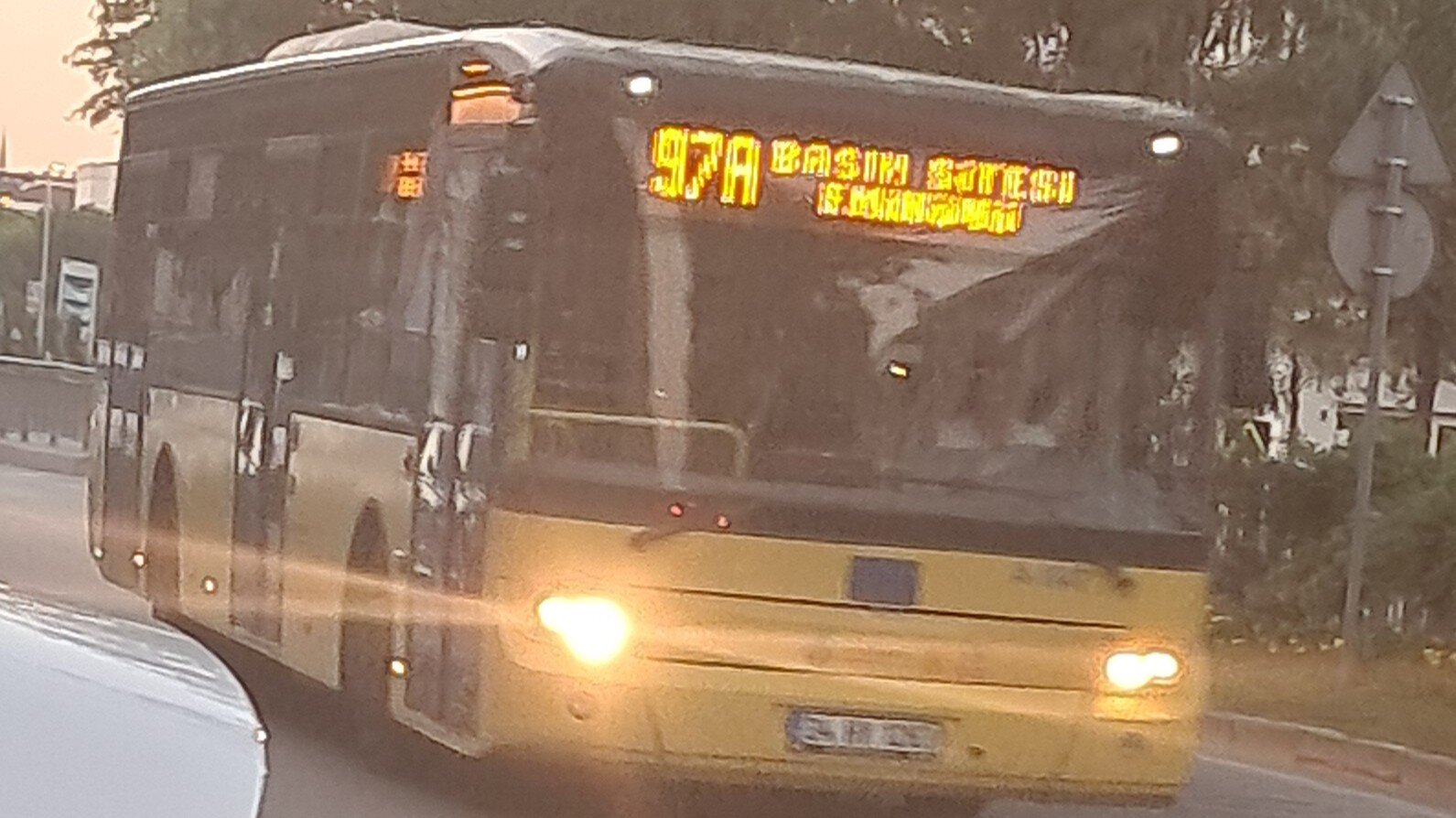 1000029442.jpg