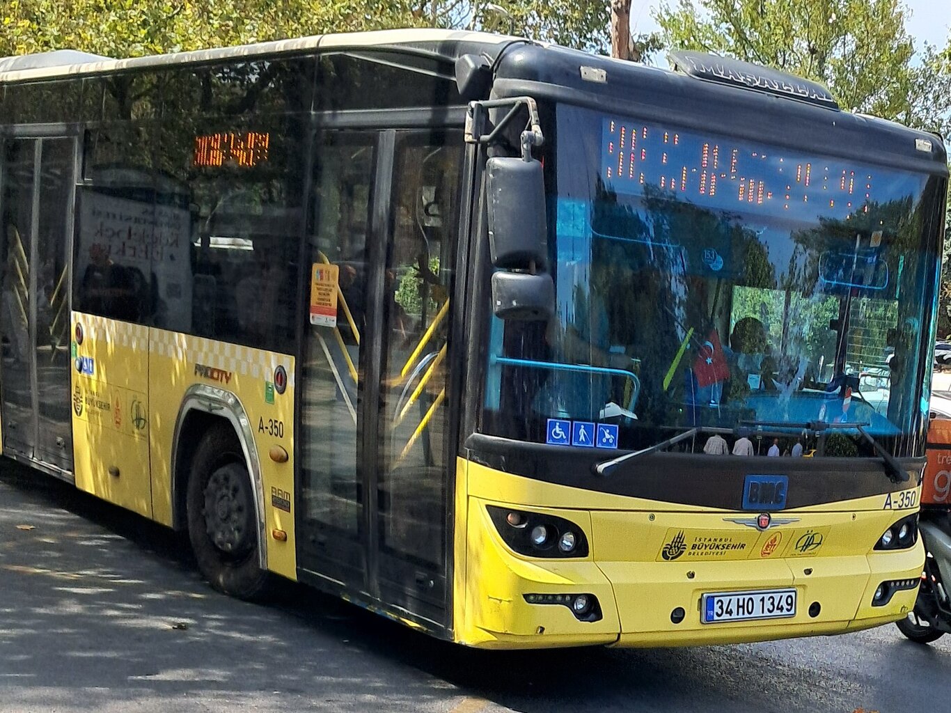 1000029504.jpg
