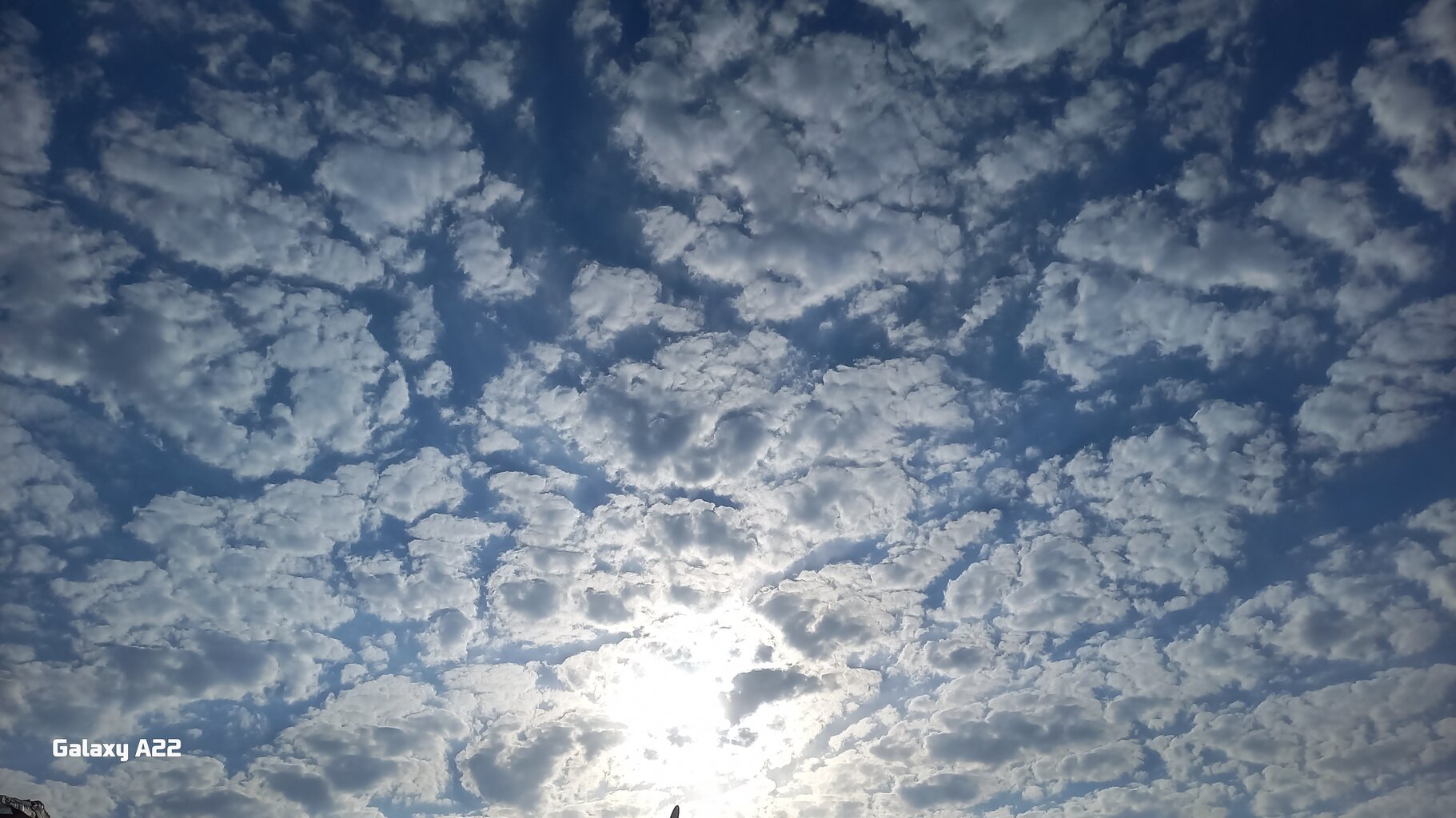 20250814_175642.jpg