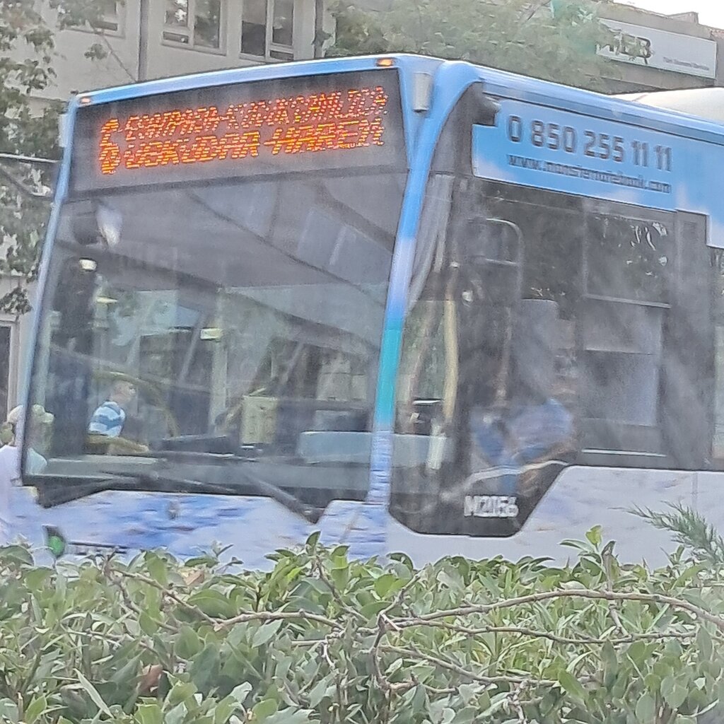 1000030000.jpg