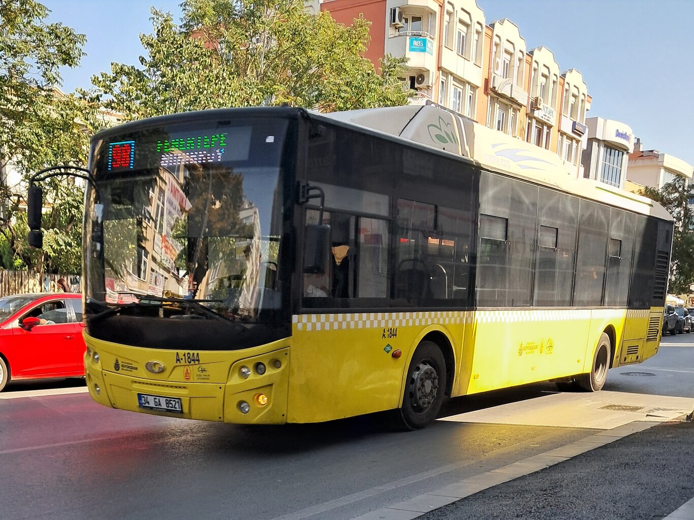 1000030377.jpg