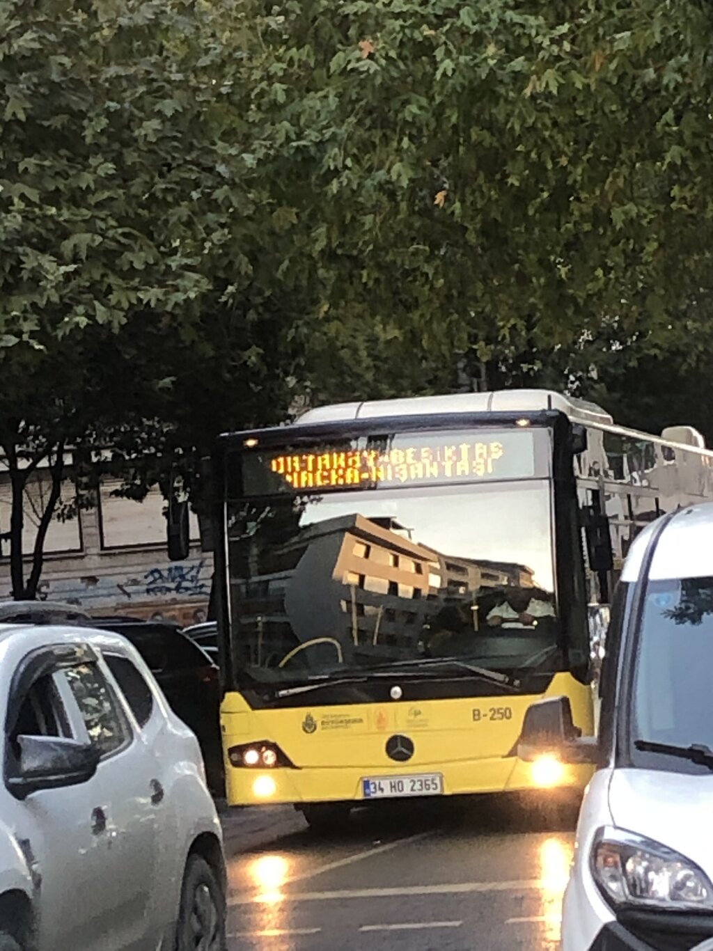 IMG_6952.jpeg