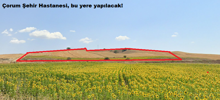Kuruçay Tarla.png