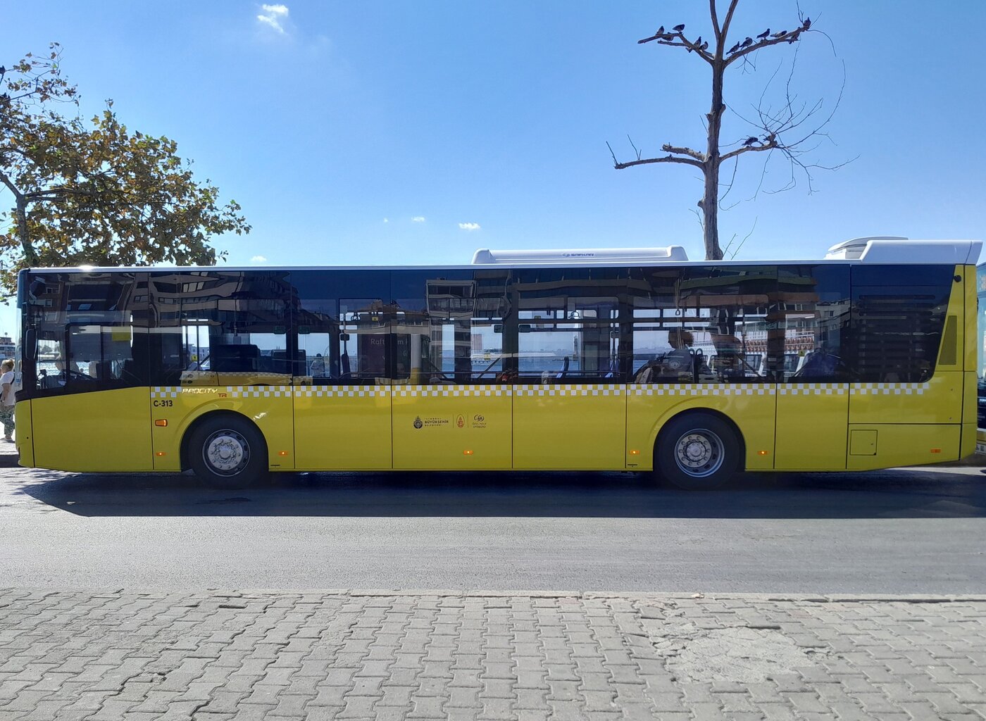20250903_184155.jpg