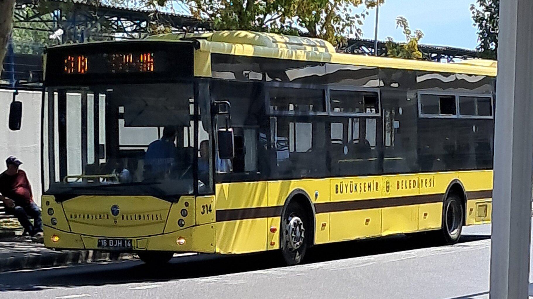 1000031428.jpg