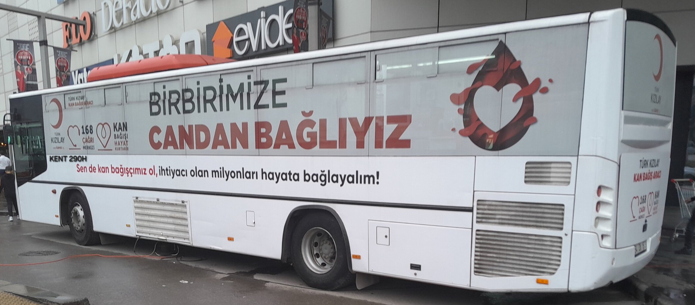 20250510_185120.jpg