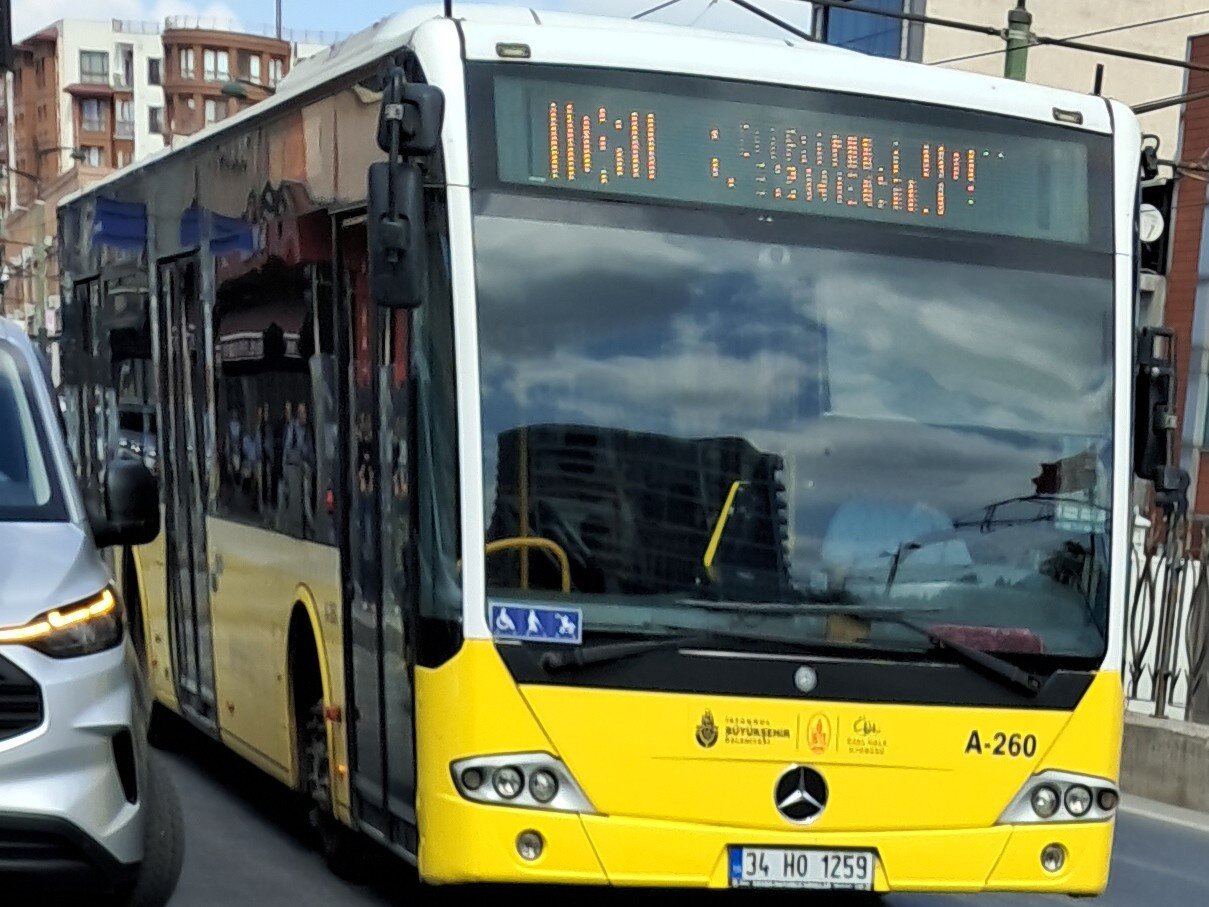 1000031677.jpg