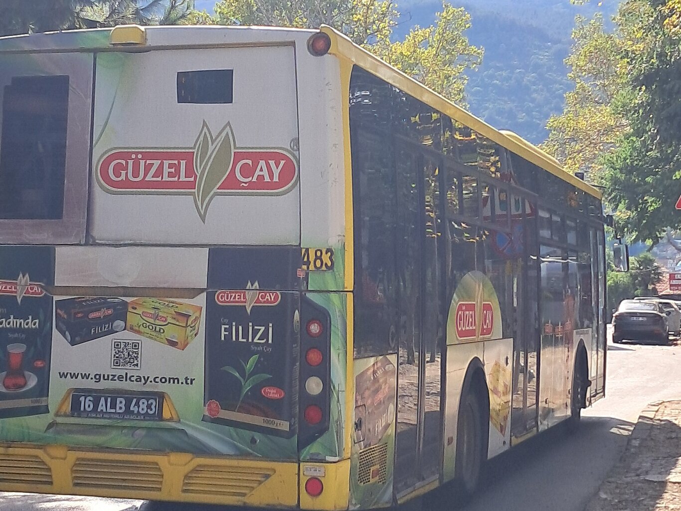 1000031576.jpg