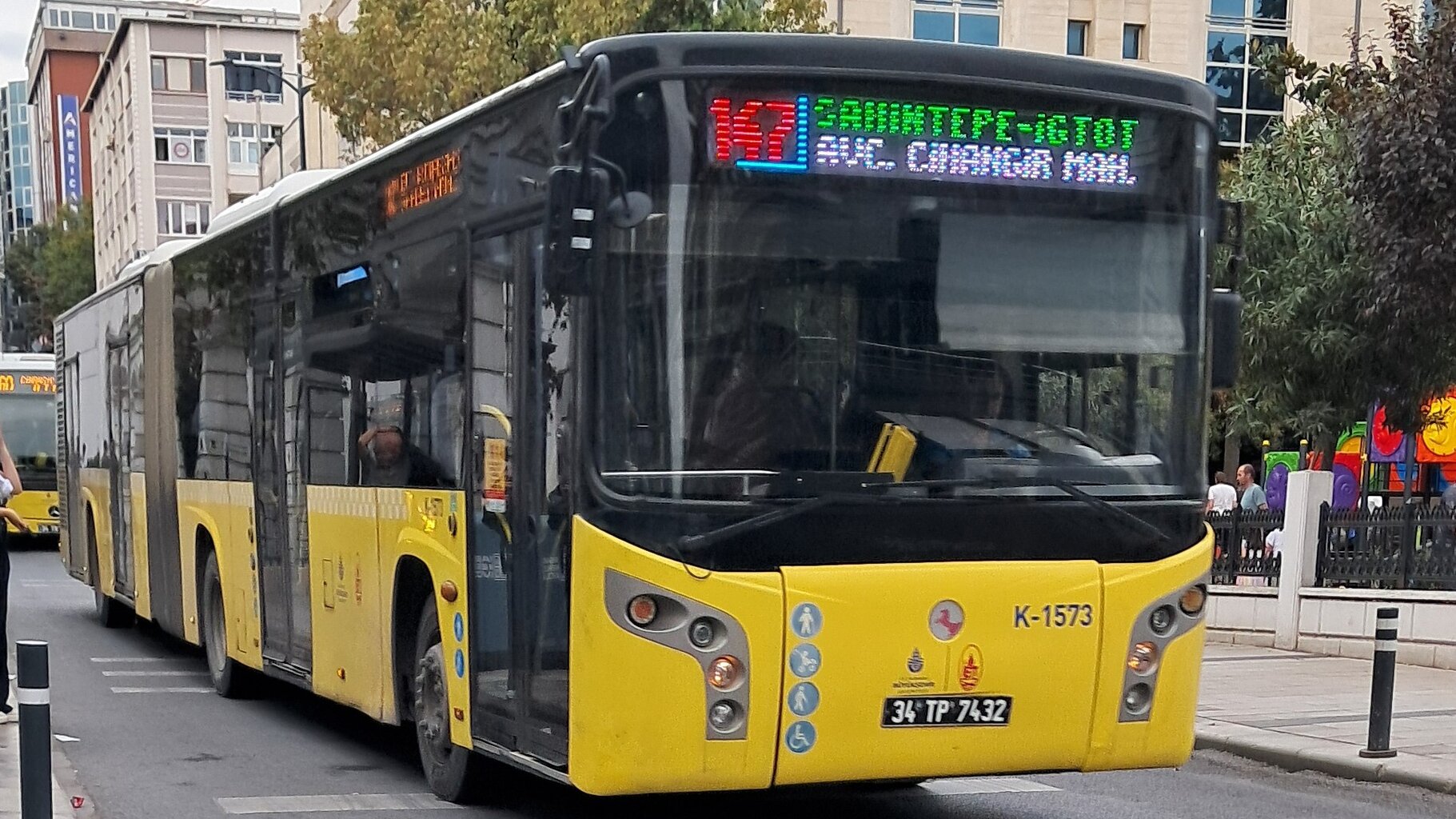 1000031899.jpg