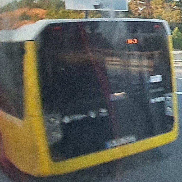 1000032175.jpg