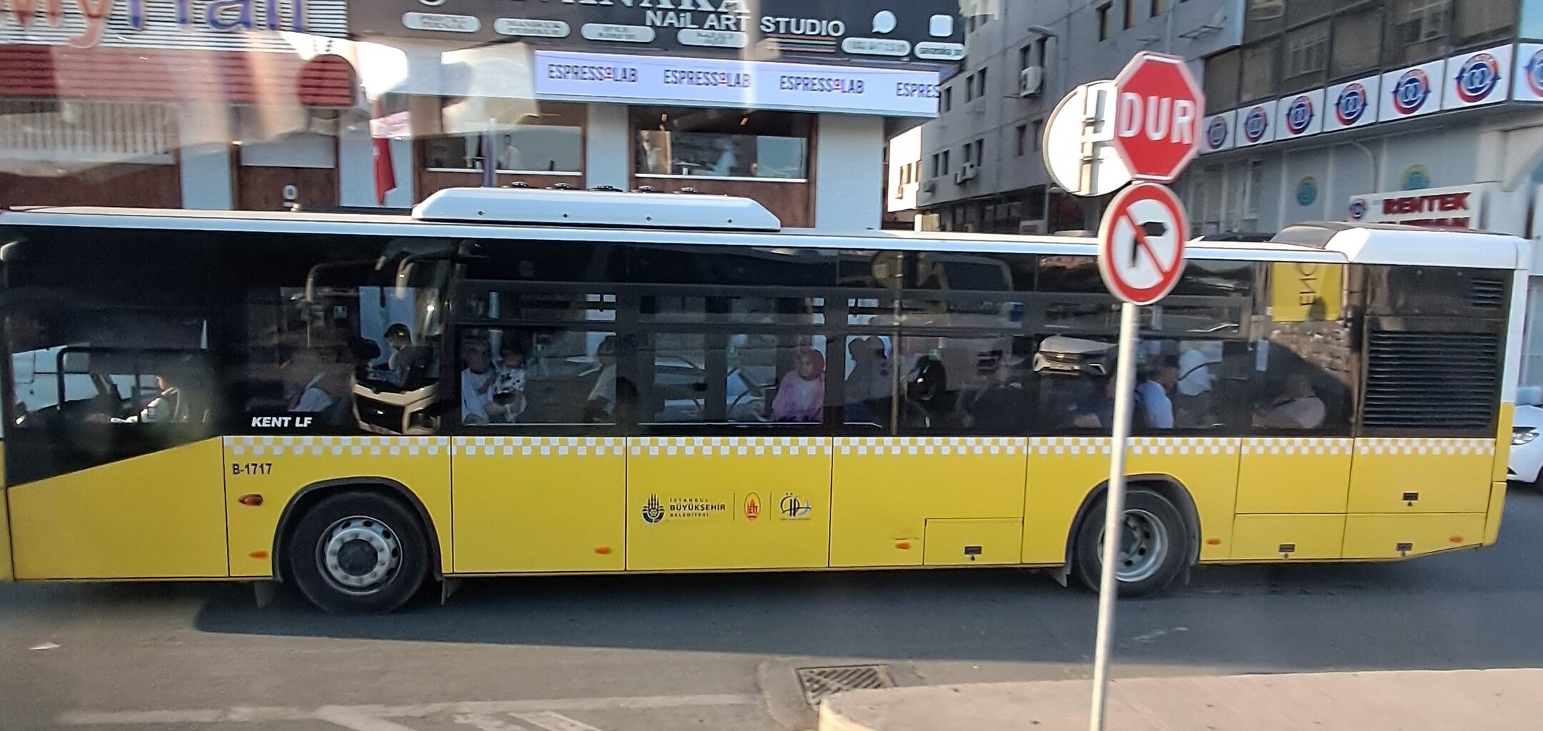 1000032176.jpg