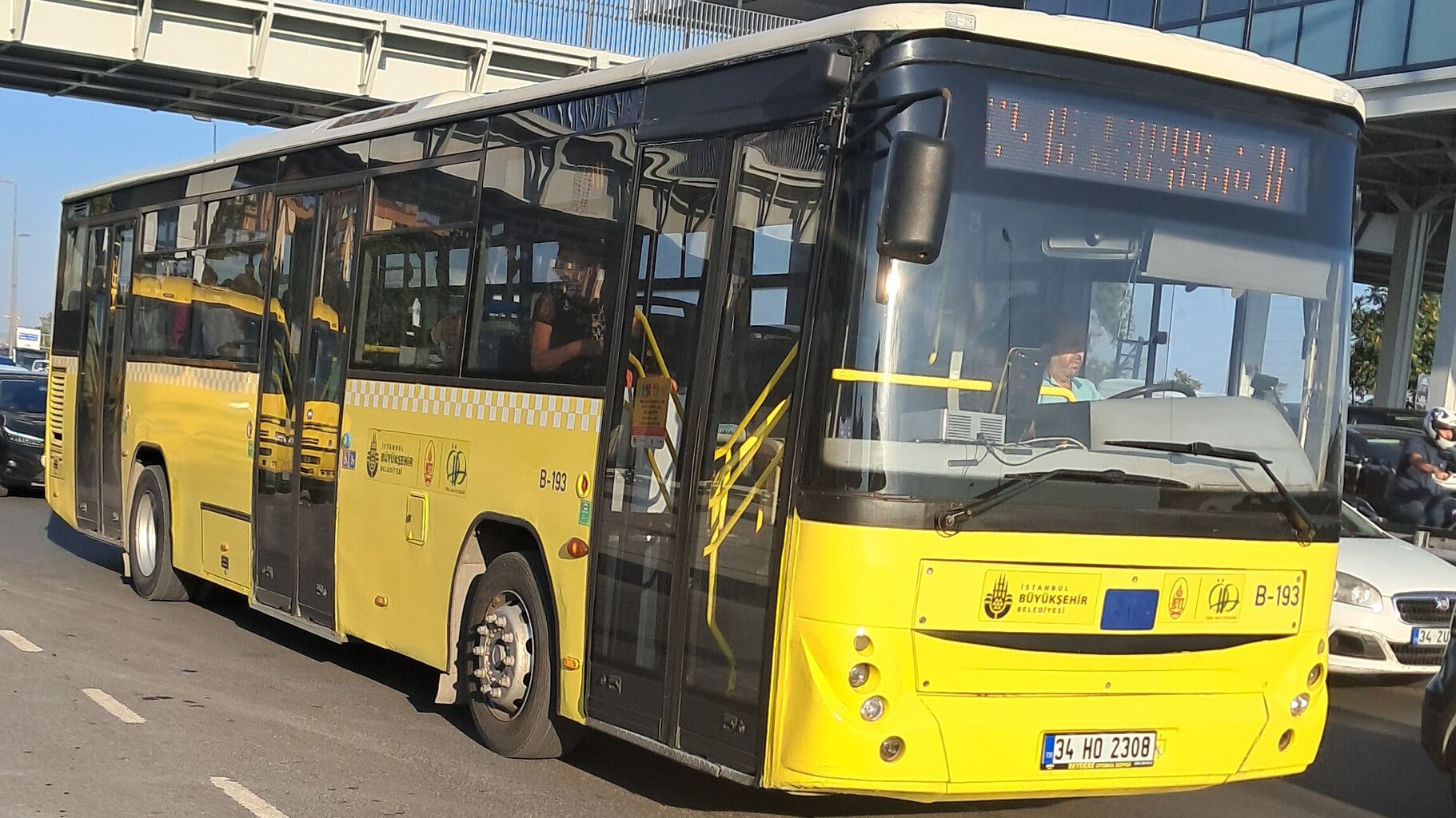 1000032230.jpg