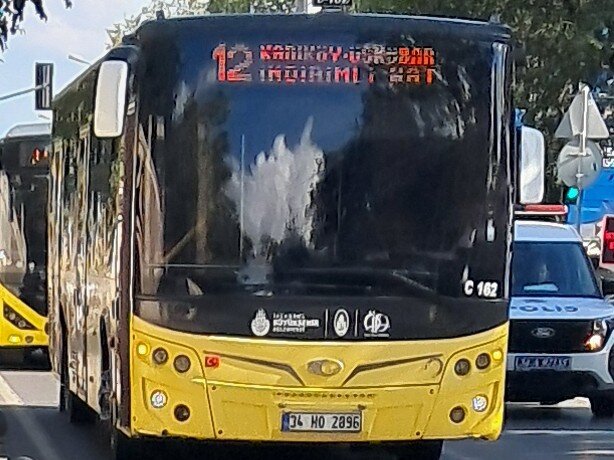 1000032675.jpg