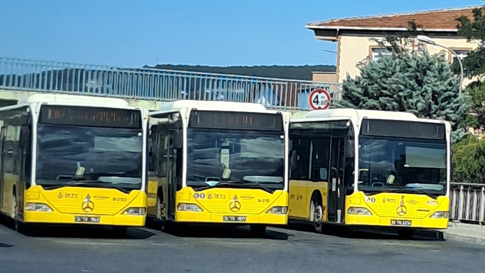 1000032855.jpg