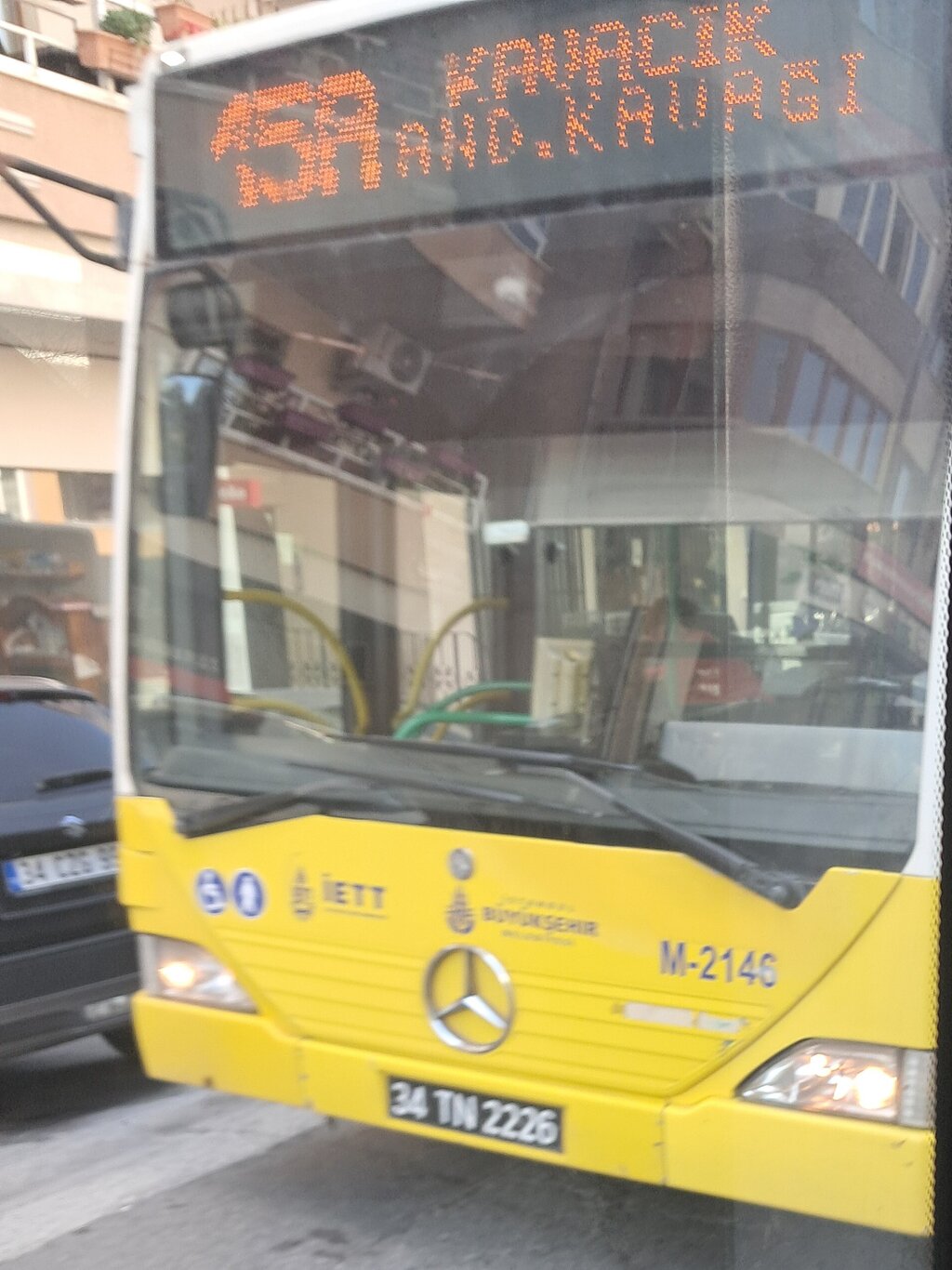1000032917.jpg