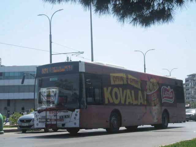 images (8).jpeg