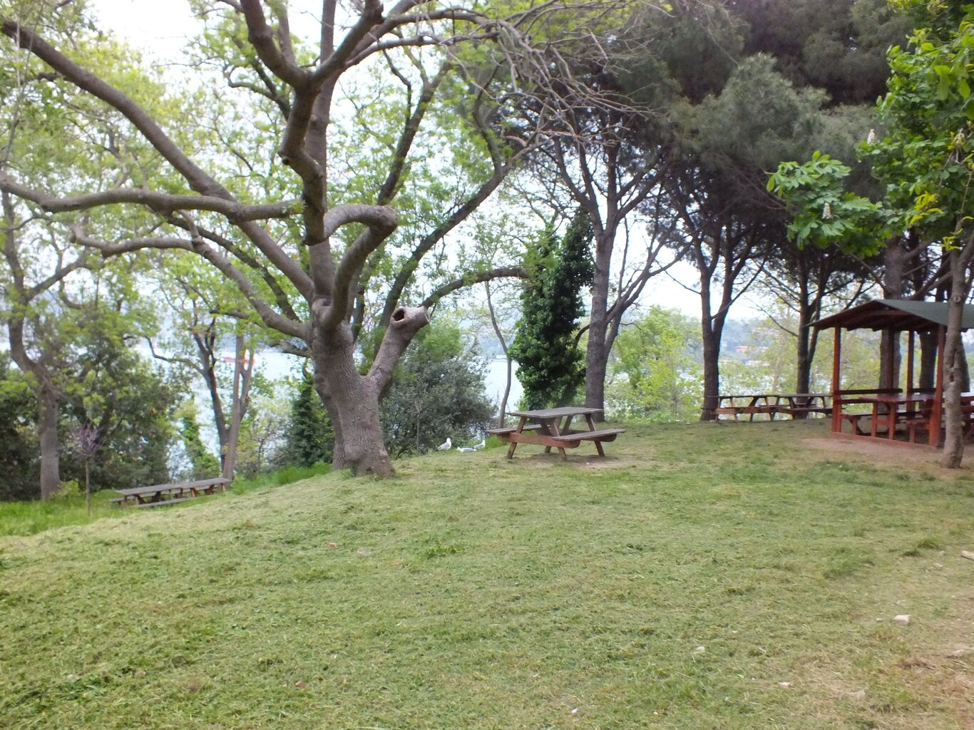 DSCF5448.JPG