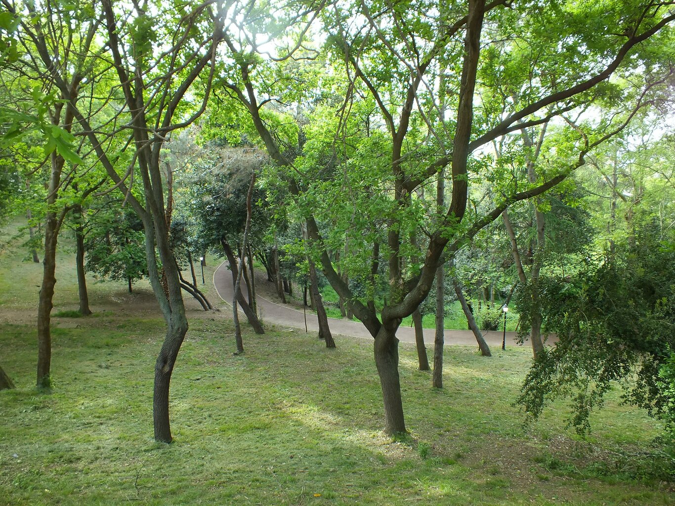 DSCF5513.JPG